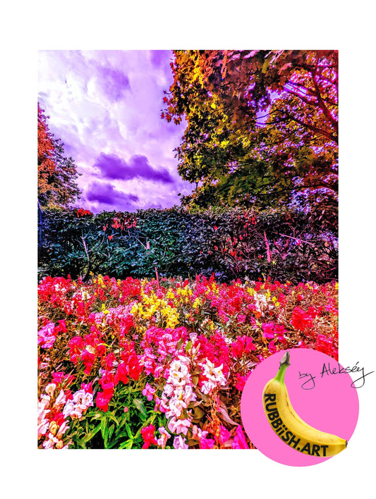 Eden of London - Limited Edition of 10