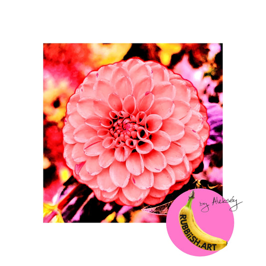 Fractalia Pinca  in a Bed of Colour - Limited Edition of 10